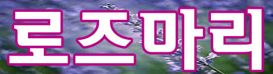 로즈마리1.jpg