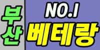 베테랑