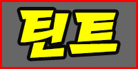 틴트
