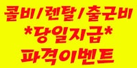 비비드