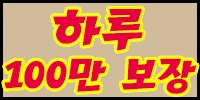 하루100만원보장