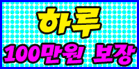 하루100만원보장