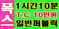 폭스