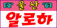 알로하