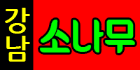 소나무(강남 최고페이)