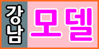 강남모델