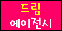 드림에이전시